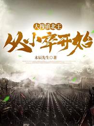 大穆镇北王:从小卒开始