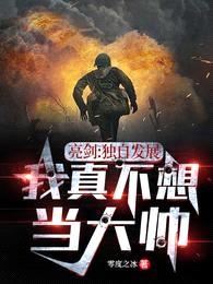 亮剑:独自发展,我真不想当大帅