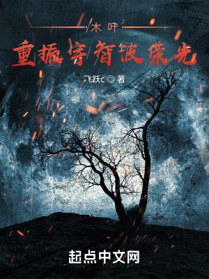 木叶:重振宇智波荣光